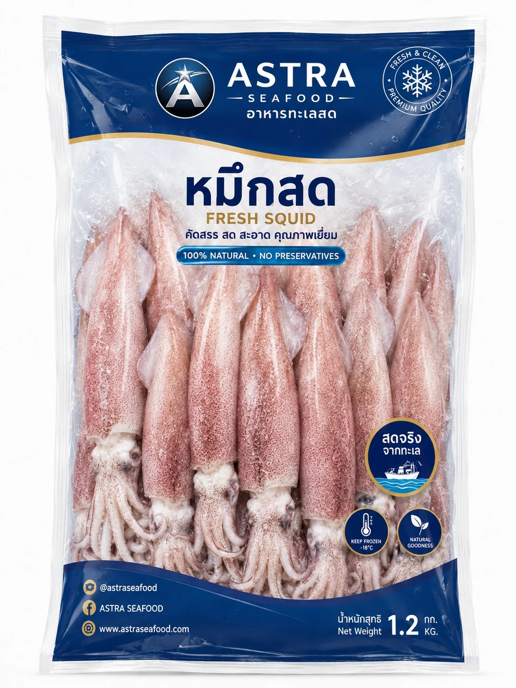 หมึกสด